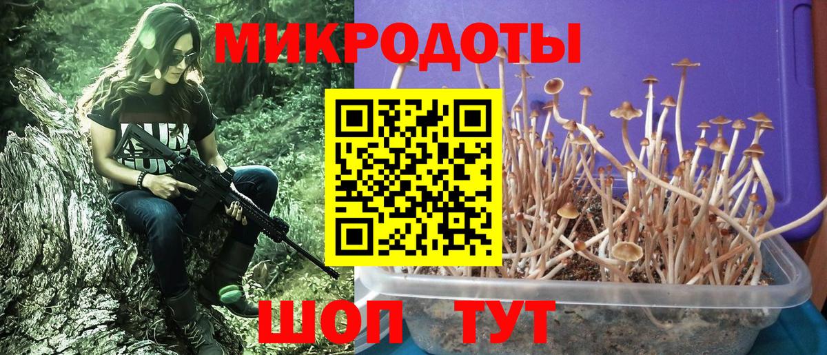 Ростов Великий  Псилоцибиновые грибы мухоморы  Вход с VPN  Галлюциногенные грибы Psilocybe 